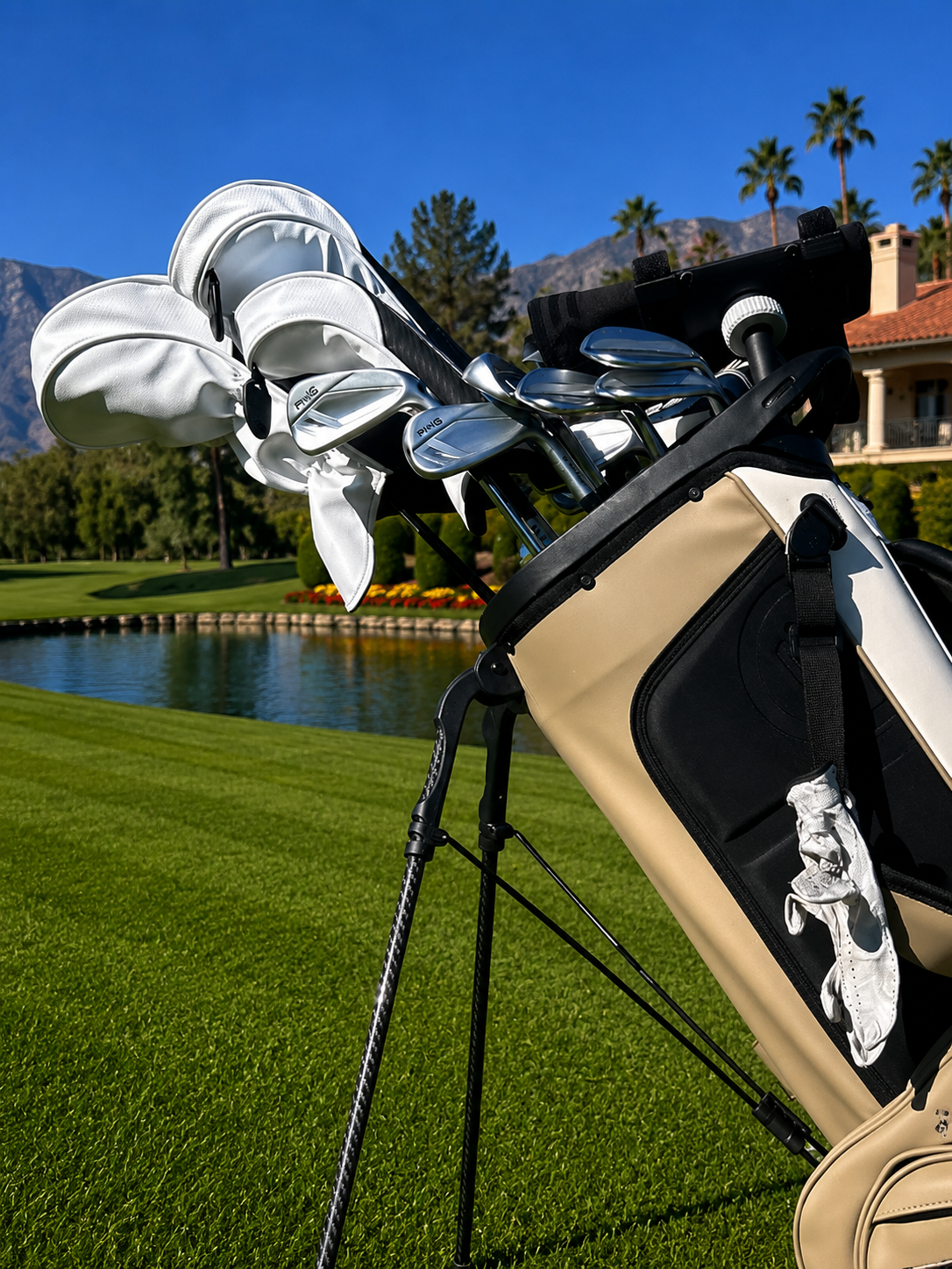 A beige and black stand bag filled with silver and white golf clubs, set on a golf course with a pond, green grass, and palm trees in the background.